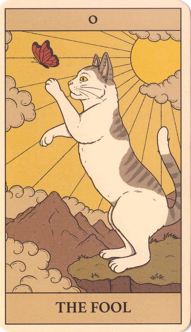 Таро Котов